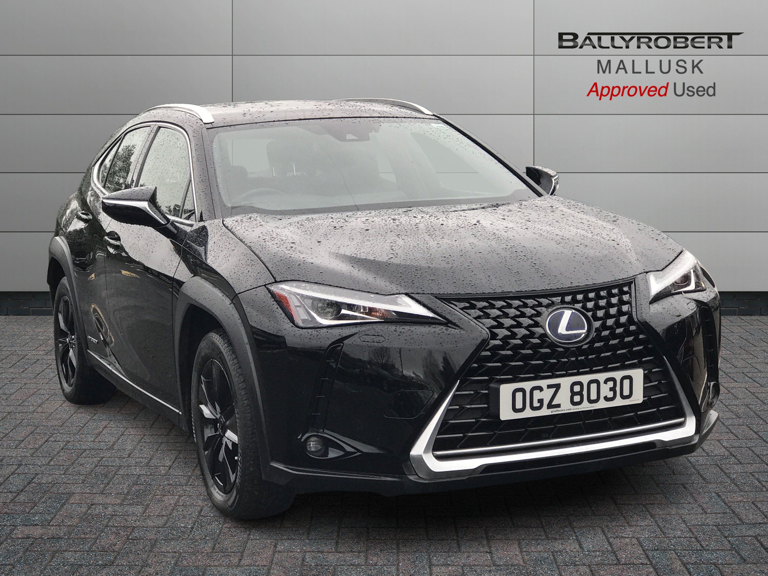 2019 Lexus UX 250h 2.0 UX