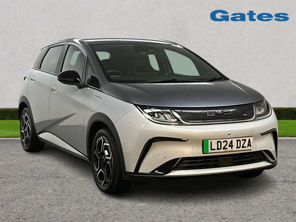 2024 Byd Dolphin E Design